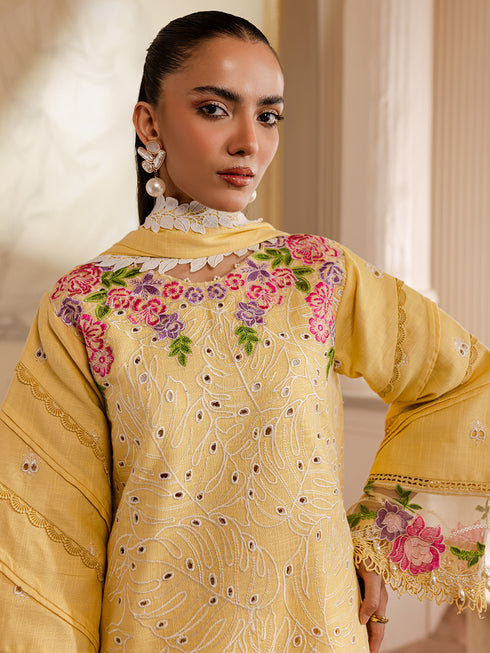 MW-01 | 3 PC Khaddar